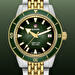 Rado R32225313 (r32225313) - Captain Cook Automatic 39 mm