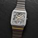 Rado R10206109 (r10206109) - Anatom Automatic Skeleton 32.5 mm