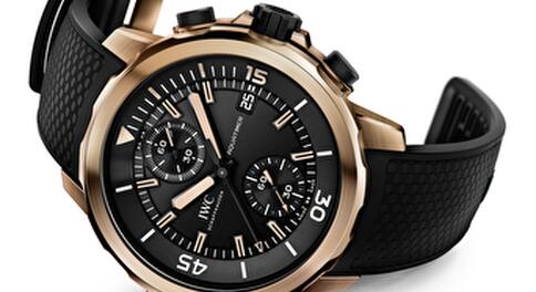 AQUATIMER CHRONOGRAPH EDITION «EXPEDITION CHARLES DARWIN»