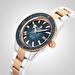 Rado R32137203 (r32137203) - Captain Cook Automatic 42 mm